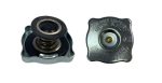 AMCAP-FN0104_0.7